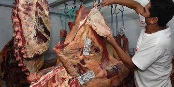 Mendoza 17 de febrero 2021 Sociedad
Carne precios cuidados
Desabastecimiento de algunos productos esenciales.
Carniceria de FRIAR que tiene a la venta carne de precios cuidados, ubicada en Calle Saavedra de Guaymallen
Oscar realiza unos cortes de carne
Foto: José Gutierrez / Los Andes
Carne carnicerias asado carnicero