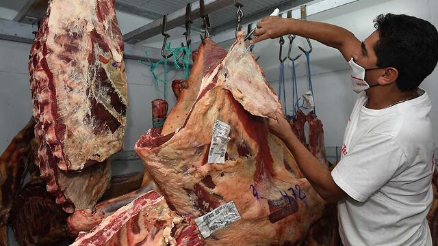 Mendoza 17 de febrero 2021     Sociedad
Carne precios cuidados
Desabastecimiento de algunos productos esenciales.
Carniceria de FRIAR que tiene a la venta carne de precios cuidados, ubicada en  Calle Saavedra de Guaymallen
Oscar realiza unos cortes de carne
Foto: José Gutierrez / Los Andes
Carne carnicerias asado carnicero