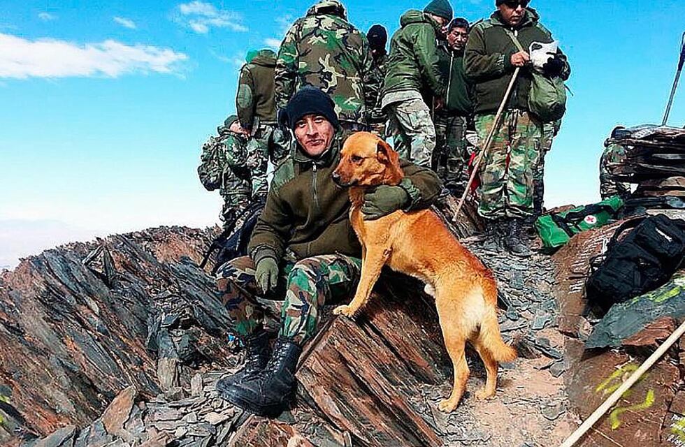 Día del Perro: Tom, el perro civil más bravo en el campo de batalla