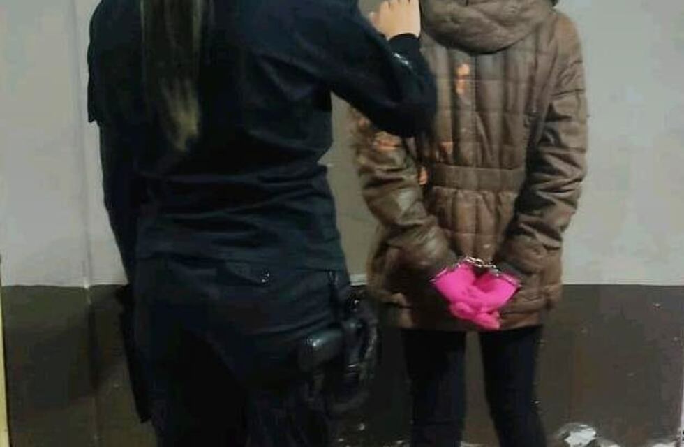 Una mujer intentó ingresar a la celda de detenidos objetos robados