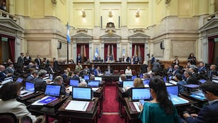 El Senado suspendió las Paso por amplia mayoría (Foto: Comunicación Senado)