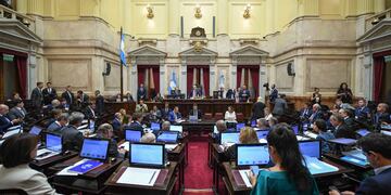 El Senado suspendió las Paso por amplia mayoría (Foto: Comunicación Senado)