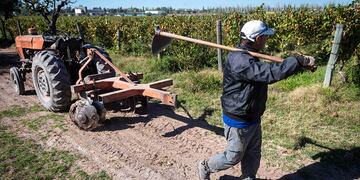 Tiempos difíciles para el campo por la sequía.