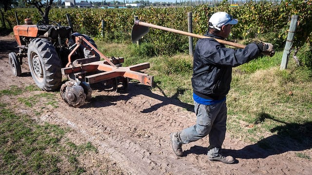 Tiempos difíciles para el campo por la sequía.
