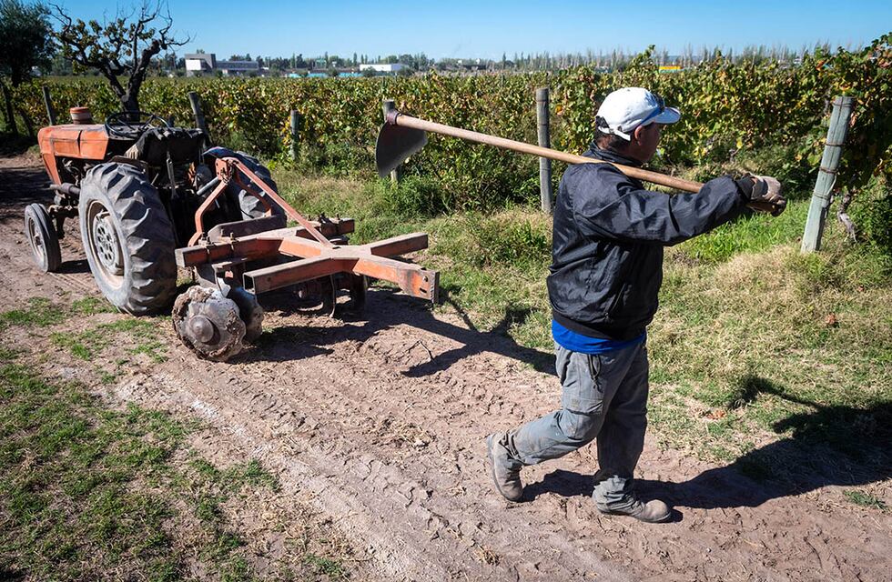 Sequías: se proyecta una gran baja de la producción y en el ingreso de dólares por las exportaciones