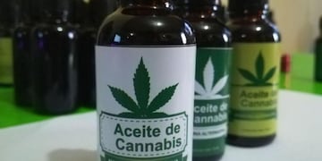 Cannabis medicinal.