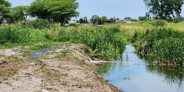 Vuelco de efluentes cloacales en el Canal Sur