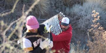 Comenzaron a plantar jarilla en el cerro Arco para recuperar la biodiversidad.
