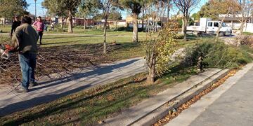 poda de árboles en  Plaza Francia y Plaza  Barrio Villa Italia