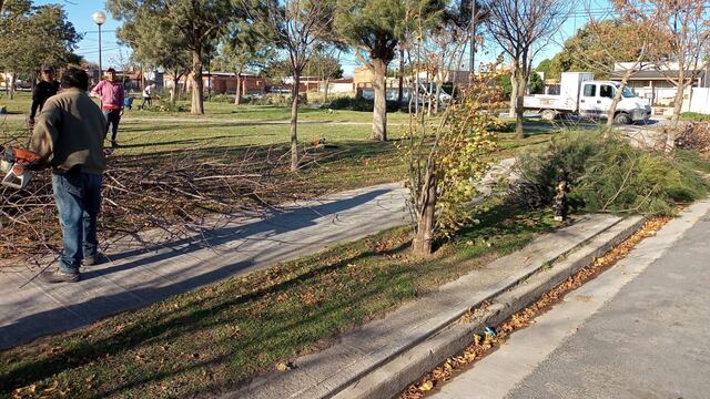 poda de árboles en  Plaza Francia y Plaza  Barrio Villa Italia