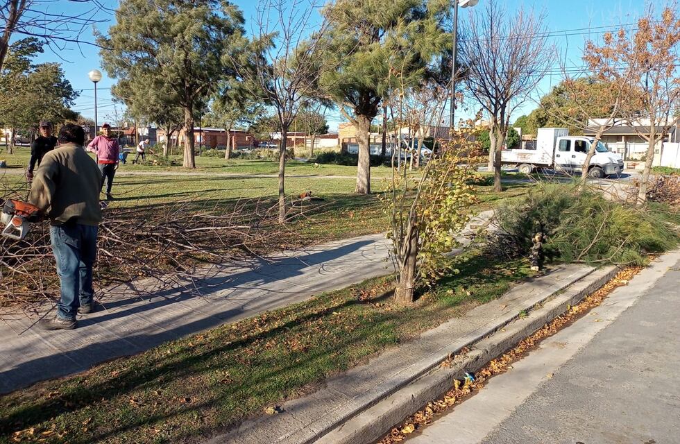 Trabajos municipales en diferentes puntos de la ciudad