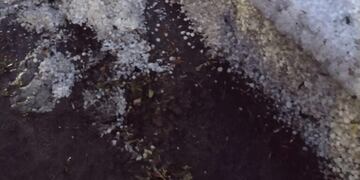 Tomenta de granizo en Viale.