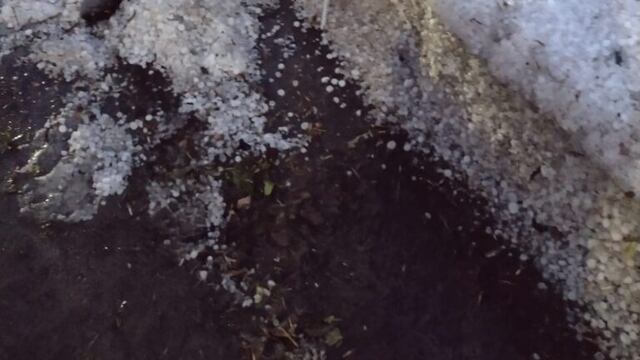 Tomenta de granizo en Viale.
