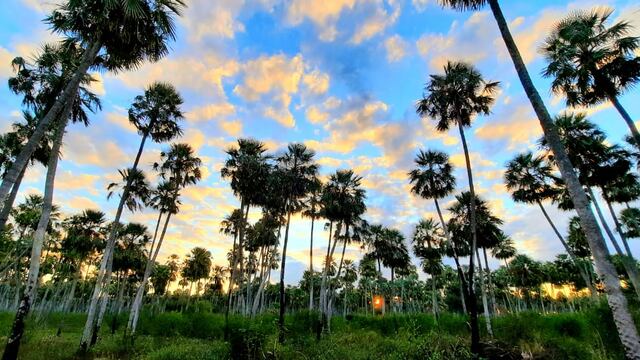 “Se podrán conservar las 4.500 hectáreas de extensión” afirmó Sager.