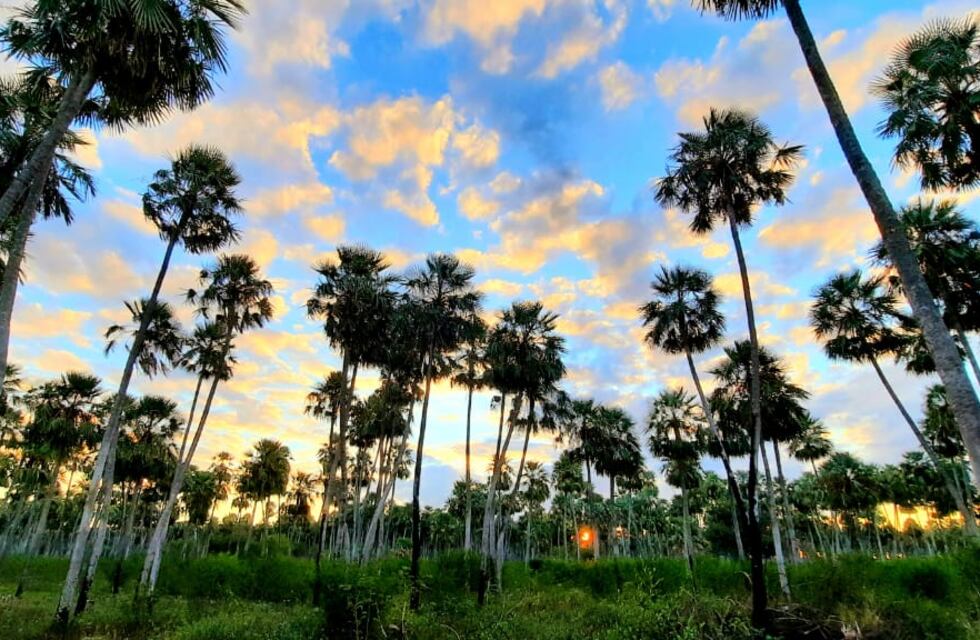 El Chaco se encamina a crear su tercer parque nacional