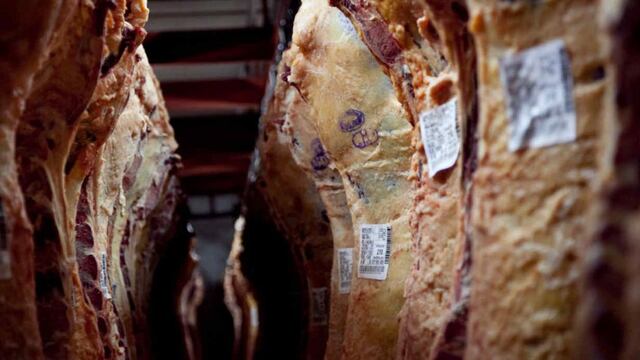 La media res deberá ser reemplazada por trozos para facilitar la distribución.