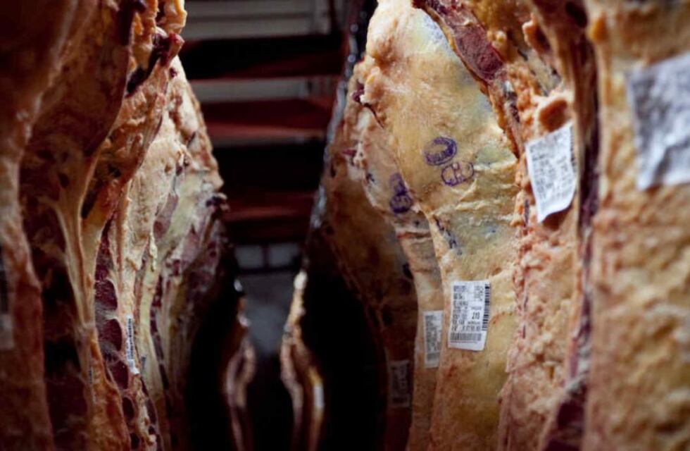 Frigoríficos de Santa Fe y la región centro van al paro por el troceo de carne