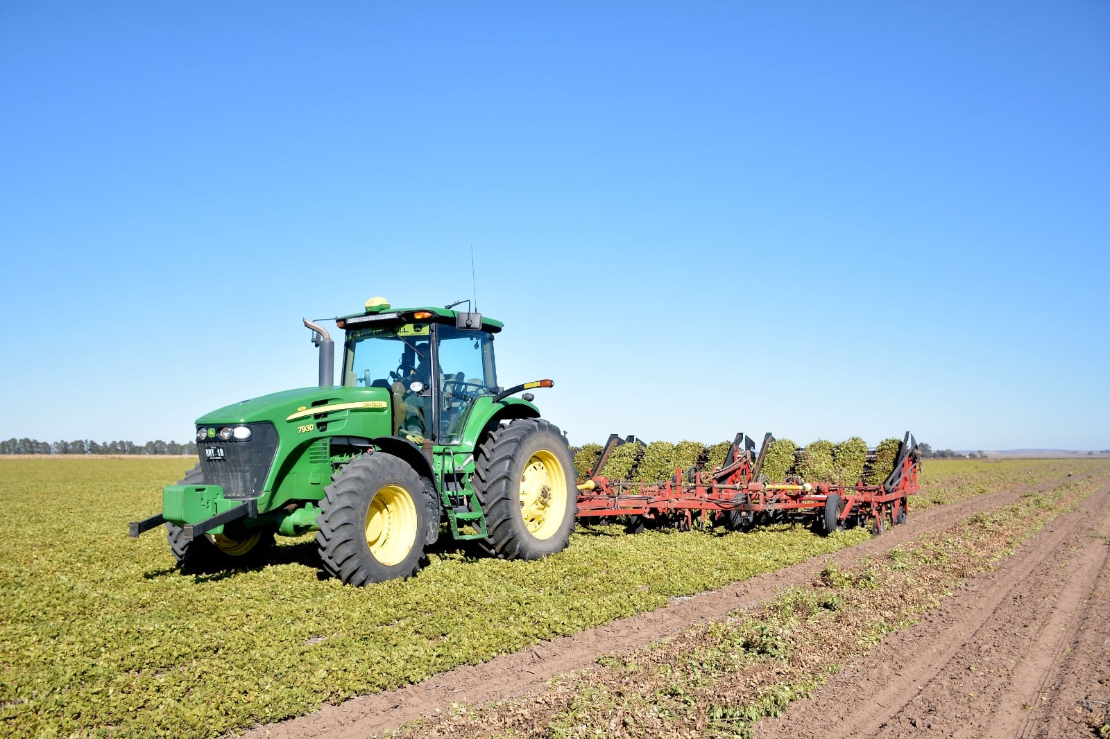 ECONOMÍA REGIONAL. En plena tarea de arrancado, el maní sigue sumando eslabones a su cadena de sustentabilidad. (Gentileza Maniagro)