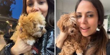 Caramelo, el perro de Gran Hermano, pasó por la peluquería y ahora luce irreconocible.