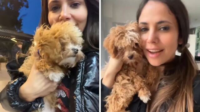 Caramelo, el perro de Gran Hermano, pasó por la peluquería y ahora luce irreconocible.