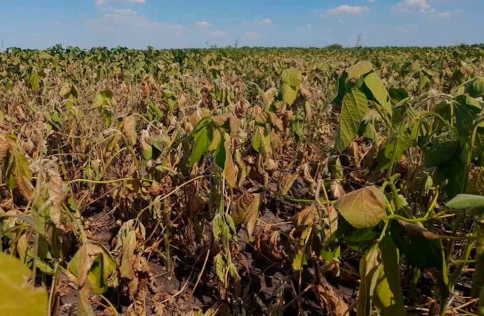 El clima, gran definidor de de lo que viene