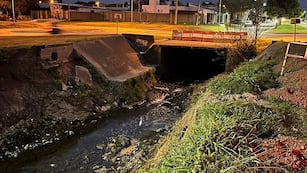 Solicitan información sobre el control ambiental en los canales Norte y Sur