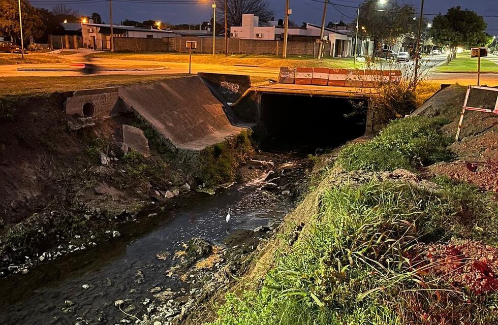 Solicitan información sobre el control ambiental en los canales Norte y Sur