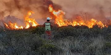El fuego en Puerto Lobos se habría originado por un “asado mal apagado.
