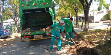 Servicio de barrido y recolección de hojas en Rafaela