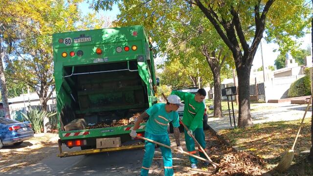 Servicio de barrido y recolección de hojas en Rafaela
