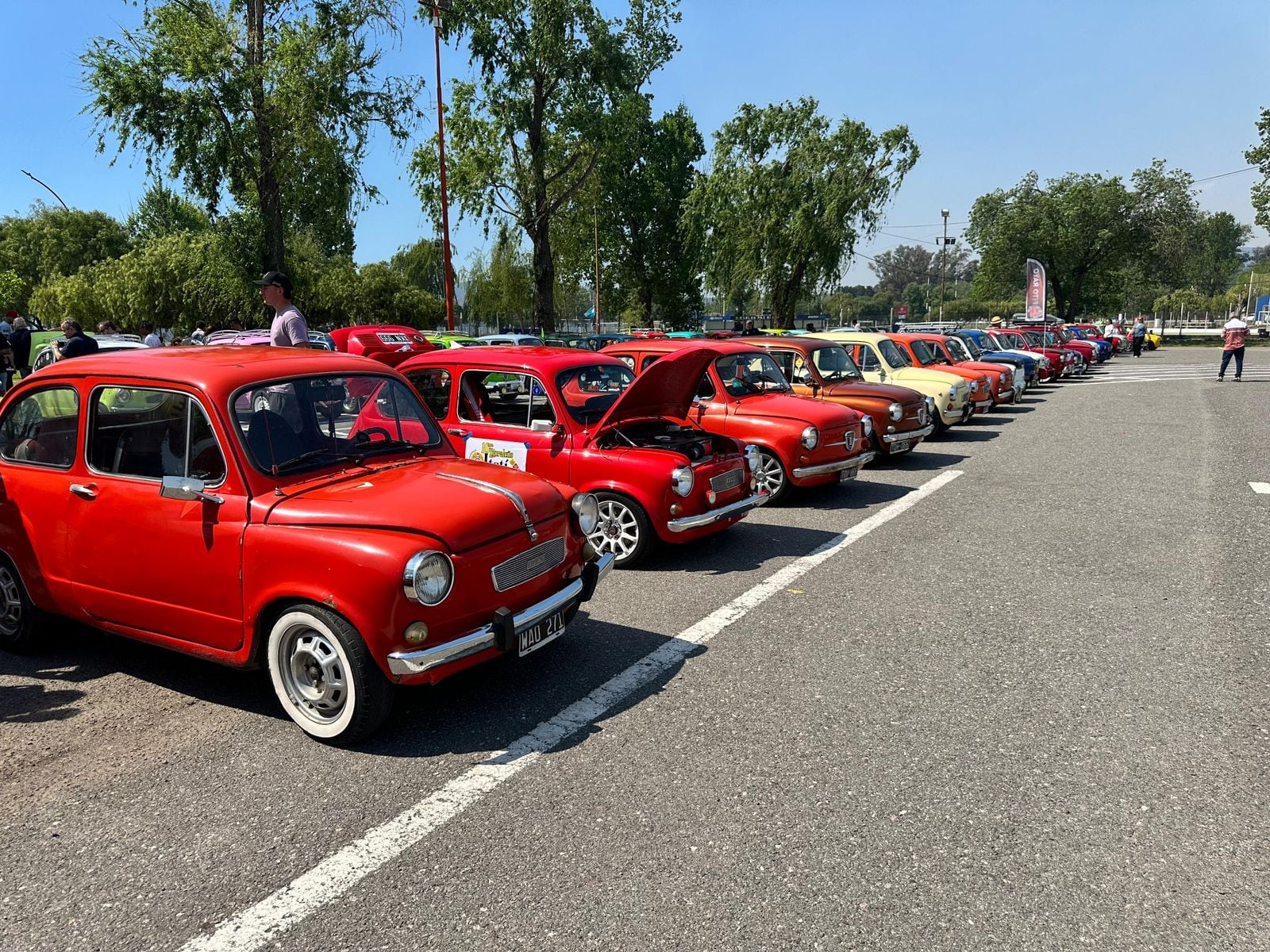Un viaje al pasado sobre ruedas: más de 300 Fiat 600 coparon la costanera del San Roque