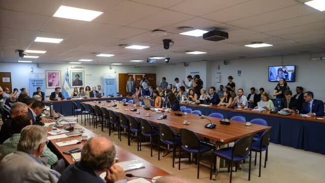 La Comisión de Juicio Político lleva adelante una nueva ronda de testigos (Foto: HCDN)