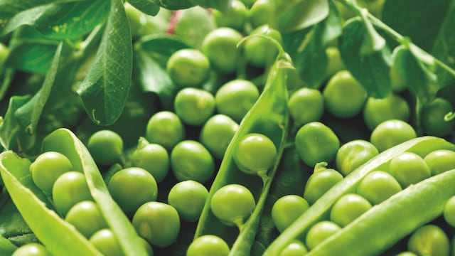 Los 4 puntos de la casa donde poner arvejas secas para atraer dinero en 2026, según el Feng Shui.