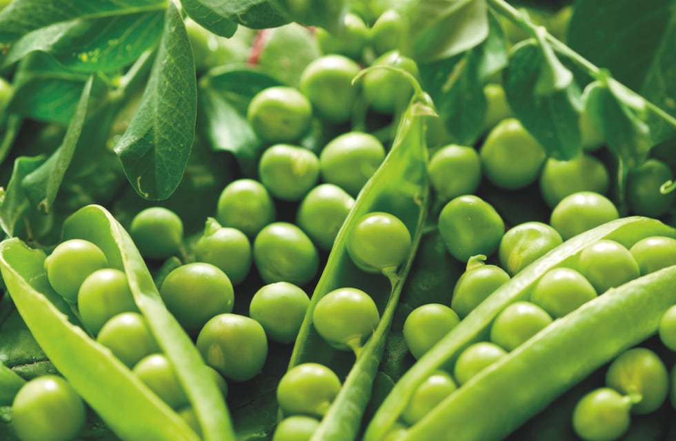 Los 4 puntos de la casa donde poner arvejas secas para atraer dinero en 2026, según el Feng Shui