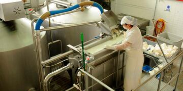 Producción de lácteos