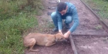 Encadenaron a un perro a las vías del tren en Chaco.