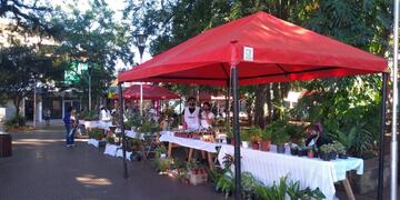 Esta semana se llevará adelante la Feria día de la Madre de “Eldorado Produce”.