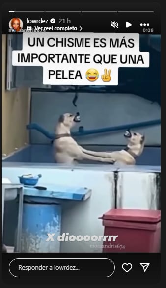 El comentario de Lowrdez en defensa de su ex