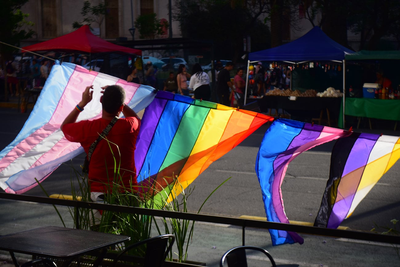 Marcha del Orgullo por las calles de Córdoba.  (Nicolás Bravo / La Voz)