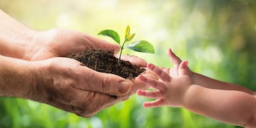 Este 5 de junio se conmemora el Día Mundial del Medio Ambiente.