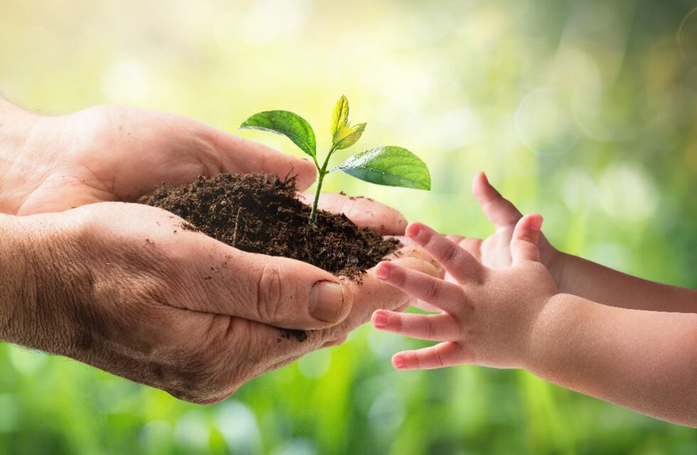 Actividades por el día del Ambiente