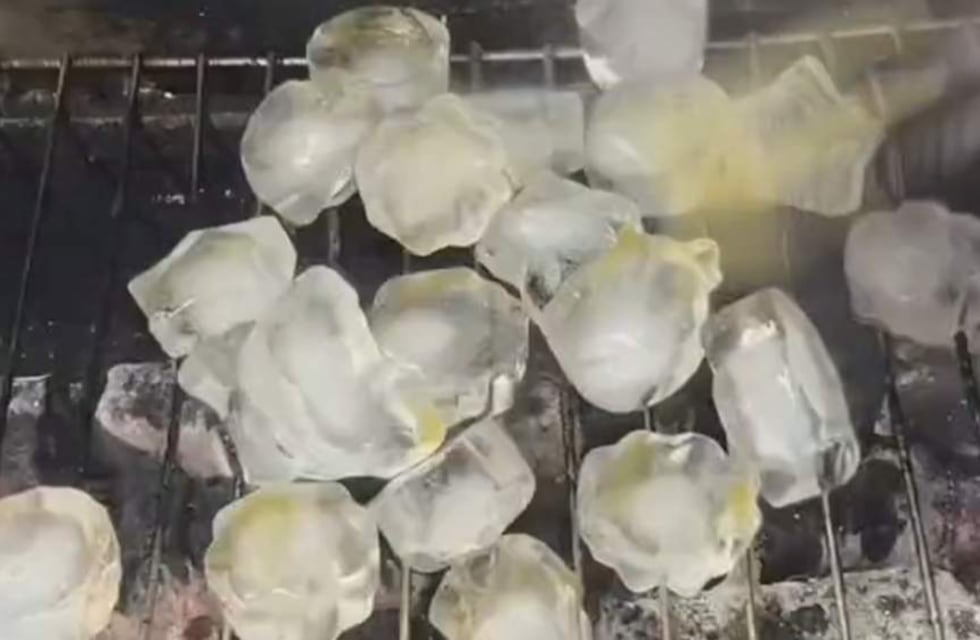 Hielo a la parrilla, la nueva tendencia culinaria que dejó desconcertados a todos en TikTok