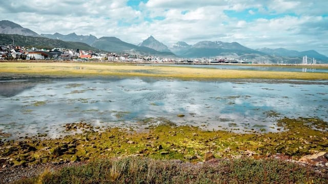 La aparición de algas verdes en las aguas de la Bahía Encerrada sorprendió a Ushuaia