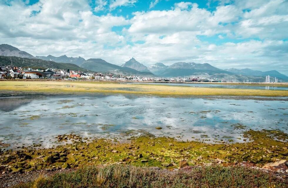 La aparición de algas verdes en las aguas de la Bahía Encerrada sorprendió a Ushuaia