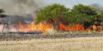 Incendios en Feliciano.