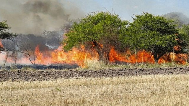 Incendios en Feliciano.
