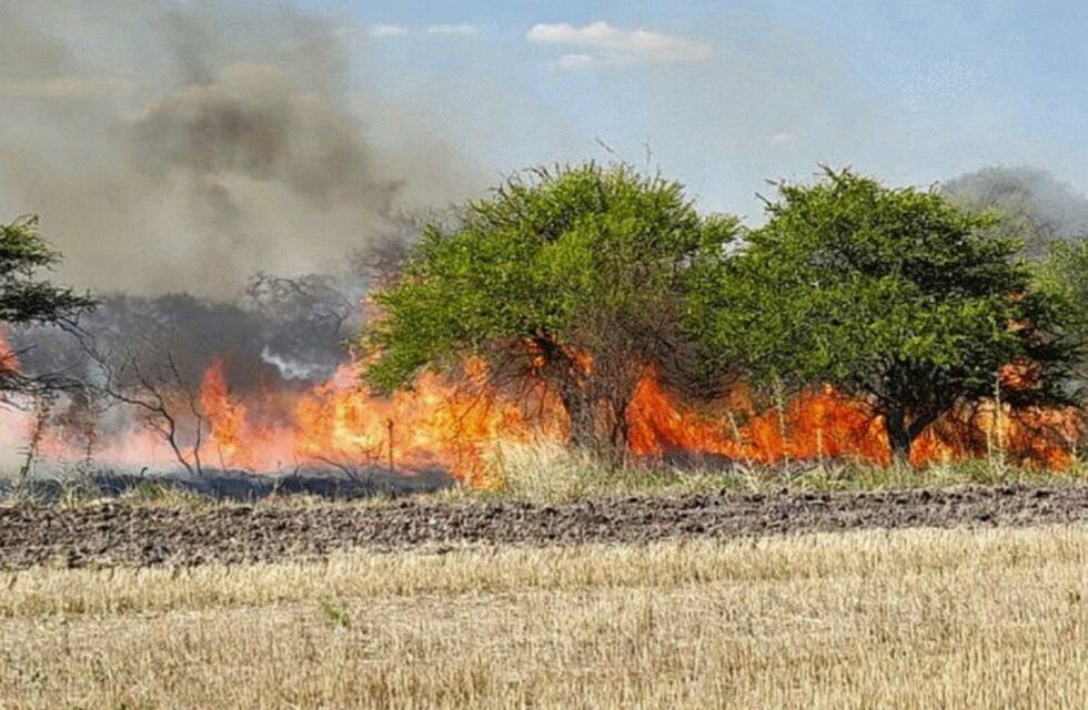 Feliciano: incendios forestales consumieron 400 hectáreas