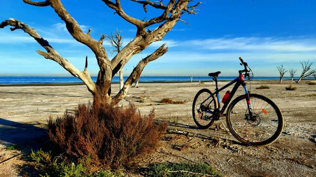 Conociendo ansneuza - Isla La Orihuela