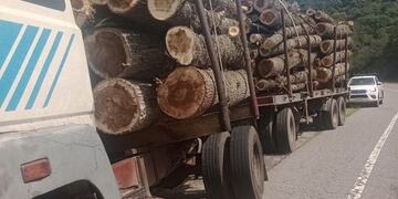 La carga era fruto de la tala ilegal de bosques.
