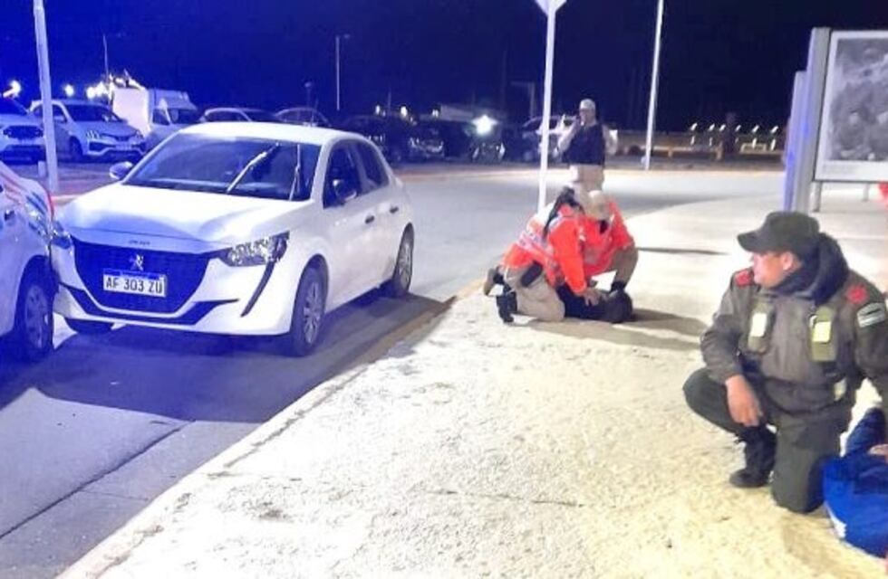Ushuaia: eludió un control vehicular, agredió a la policía y fue detenida